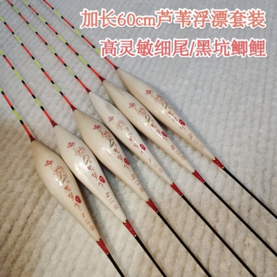 加长60cm芦苇浮漂套装高灵敏轻口行程稳定黑坑鲫鲤鱼细尾鱼漂