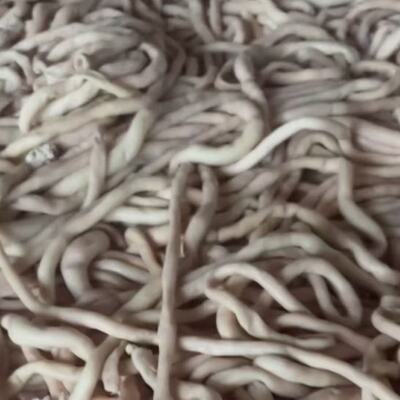 新鲜全熟羊肠羊肥肠清真生羊盘肠细肠内蒙羊杂羊拐肠大肠肥肠无水