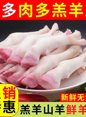 星象清真新鲜羔羊蹄农家冷冻山羊蹄子生羊蹄子正宗带筋商用家庭装