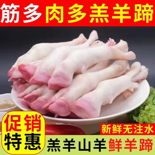 品牌特级羊蹄清真新鲜羔羊蹄冷冻生羊蹄子带筋一斤两至三个白蹄