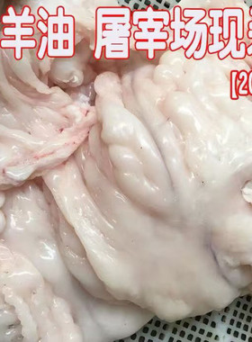 新鲜速冻清真山羊羊板油羊网油混合羊肉馆羊肉汤专用油家庭专用油