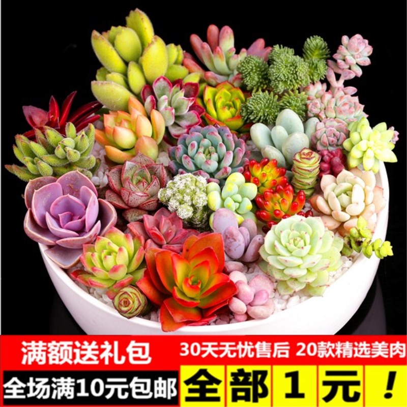 带你看骨科