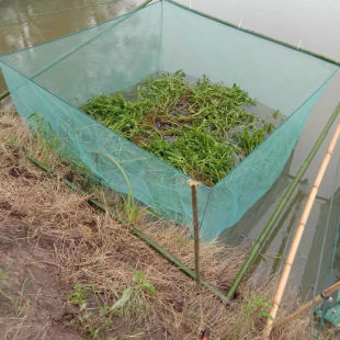 10目养殖网箱加盖专用泥鳅黄鳝龙虾尼龙网箱养大鱼网箱存鱼苗