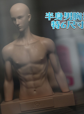 GRANADO-番红花 六分特体 6分 半身男胸托 人台 飞头展示支架