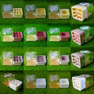 施王蚁馆 仿生态巢 升级Q版高款组合巢 蚂蚁饲养繁殖工坊 蚂蚁巢