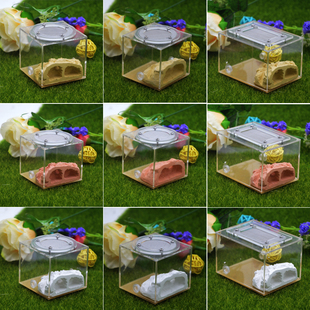 施王蚁馆 仿生态蚁巢 DIY石膏假山 宠物蚂蚁城堡 造景工坊 家园