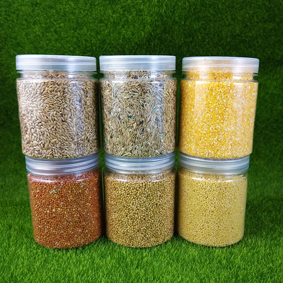 收获蚁食物草籽加纳利子混合种子