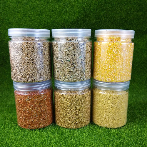 收获蚁食物草籽加纳利子混合种子