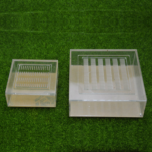 施王蚁馆 亚克力带盖 饲养盒子 蜘蛛盒 昆爬虫盒 鸣虫养殖盒