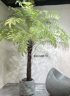 大型仿真桫椤蕨草叶树绿植原始森林风格室内庭院落地景观植物盆栽