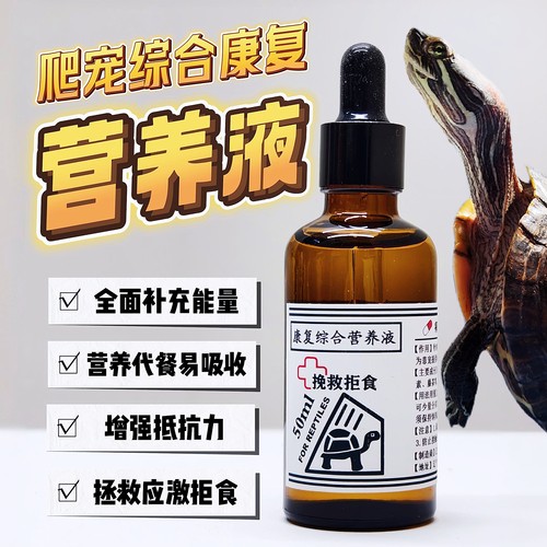 龟类增强抵抗力疑难拒食浮水