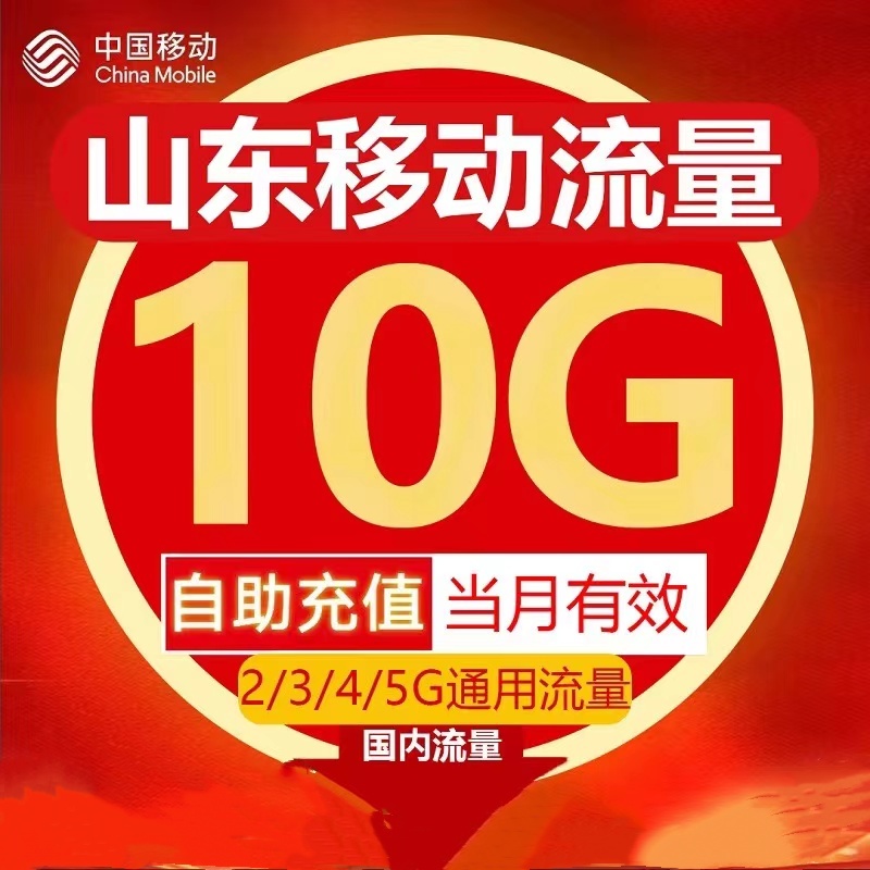 山东移动全国流量10G当月有效