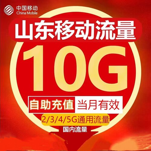 山东移动全国流量10G当月有效