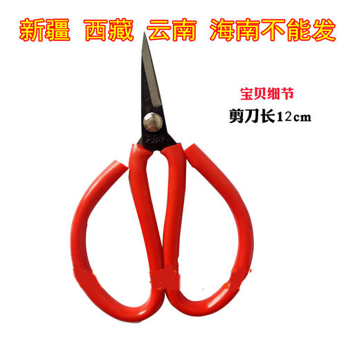 剪刀儿童成人用尖头家用塑料管大手柄特色小剪刀子