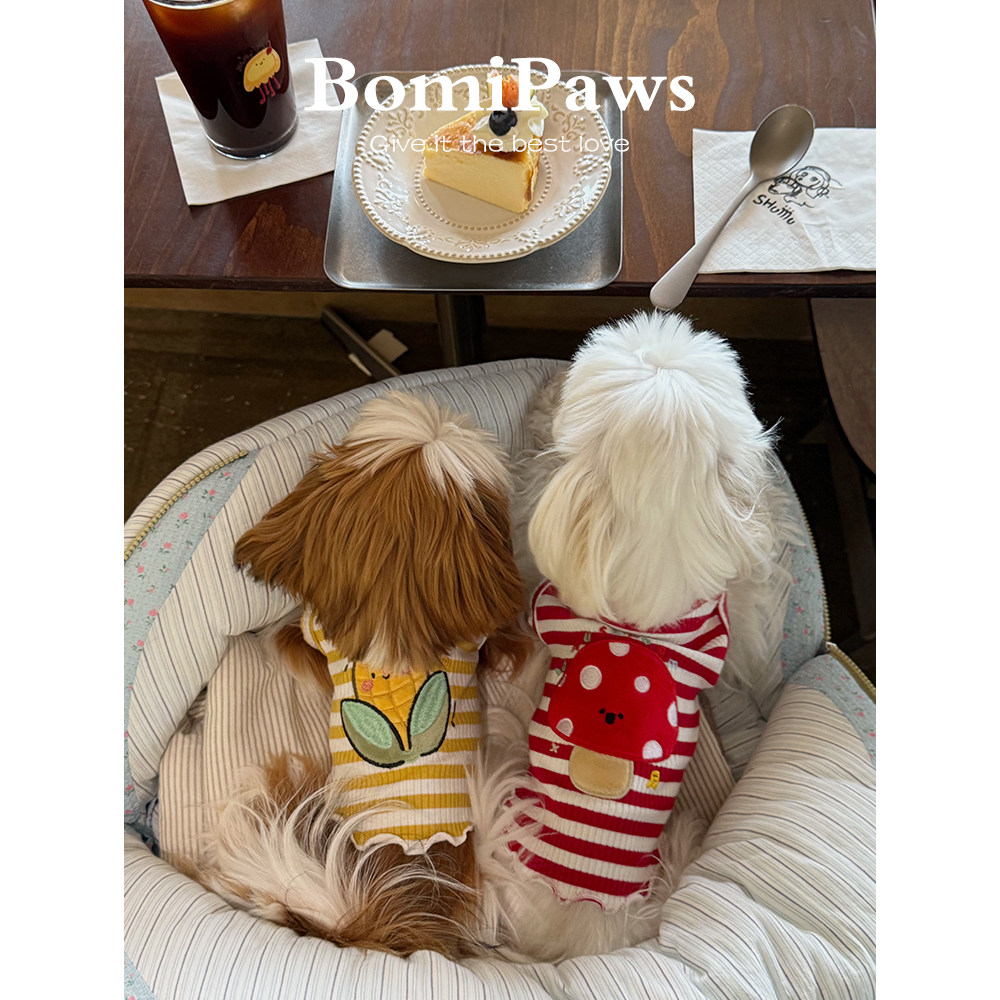 Bomipaws小型犬比熊西施马尔济斯