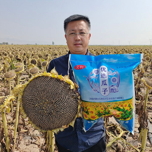 葵花籽散装新鲜原味大颗粒生瓜子