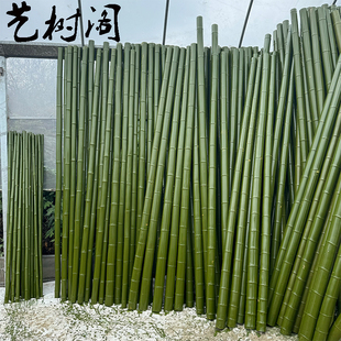 仿真绿竹杆竹子假竹子真竹竿刷绿漆竹竿屏凤摆件装饰花艺设计用品