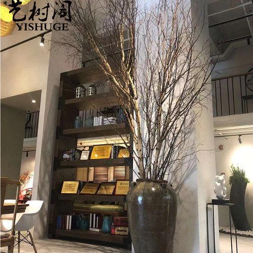 白桦树装饰白桦树干白桦木树段圆木棍白树枝树杈树桩橱窗美陈软装 - 封面
