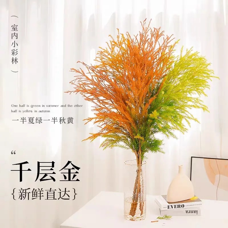 千层金鲜花干花真花室内客厅装饰花摆件水培植物桌面绿植花卉盆栽