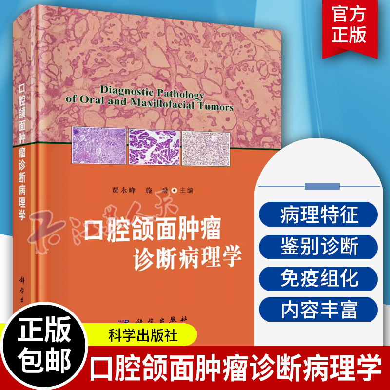 口腔颌面肿瘤诊断病理学 贾永峰施琳口腔上皮性肿瘤涎腺肿瘤牙源性肿瘤口腔颌面部囊肿口腔颌面部软组织肿瘤淋巴造血
