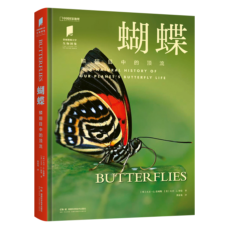正版包邮 蝴蝶:鳞翅目中的顶流 普林斯顿大学生物图鉴发现一些蝴蝶的特质 了解生存方式 感知蝴蝶多样性之于地球的意义