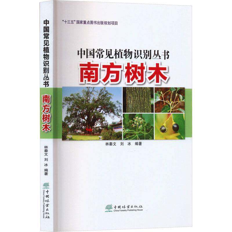 中国常见植物识别丛书:南方树木林秦文9787521919684 中国林业出版社 自然科学书籍