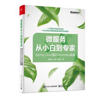 姚秋辰普通大众互联网络网络服务器计算机与网络书籍 Cloud和Kuberes实战 Spring 微服务从小白到专家