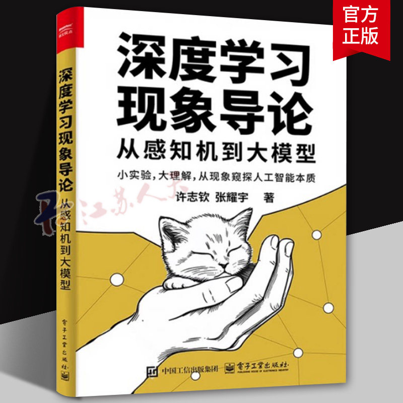 深度学习现象导论 从感知机到大模型 神经网络的输出和参数演化规律及大语言模型如何涌现更复杂的推理 电子工业出版社