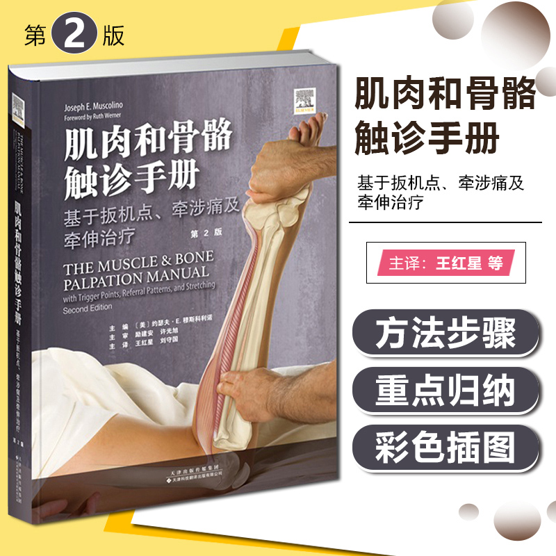 肌肉与骨骼触诊手册：基于扳机点、牵涉痛及牵伸治疗（第2版） 肌肉骨骼系统体表解剖触诊 手法治疗物理治疗师