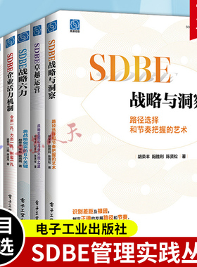 6册 SDBE组织执行力+SDBE越运营+SDBE战略六力+SDBE战略与洞察+SDBE企业活力机制+SDBE领导力及人才 胡荣丰 企业经营书籍