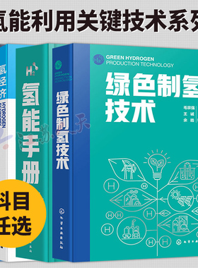 氢能手册+绿色制氢技术+氢经济+氢安全 氢能利用关键技术系列 氢能技术 氢能方面工具书 高等院校新能源化工冶金材料等专业参考书