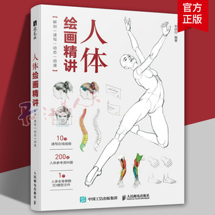 人体绘画精讲 解剖+速写+动态+动漫 人体结构动态结构自学教程基础入门 人物速写入门基础绘画临摹书籍透视技法自学教程