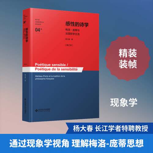 感性的诗学:梅洛-庞蒂与法国哲学主流:Merleau-Ponty et la tradition de 杨大春9787303310968 北京师范大学出版社 哲学宗教书籍