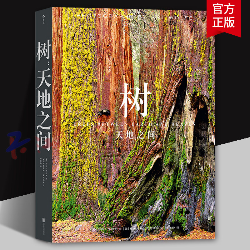 树 天地之间 传奇摄影师阿特沃尔夫 近300张照片呈现树之星球 自然风光摄影艺术收藏画册 后浪