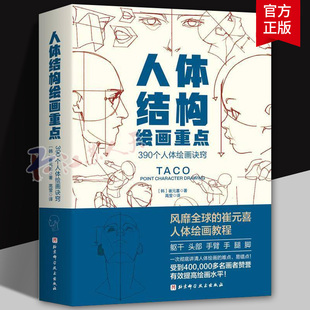 人体结构绘画重点 人体结构 人体绘画 崔元喜 TACO人体 解剖 动画人体结构教程 人体结构绘画教程 绘画技巧 绘画教程 北京科学技术
