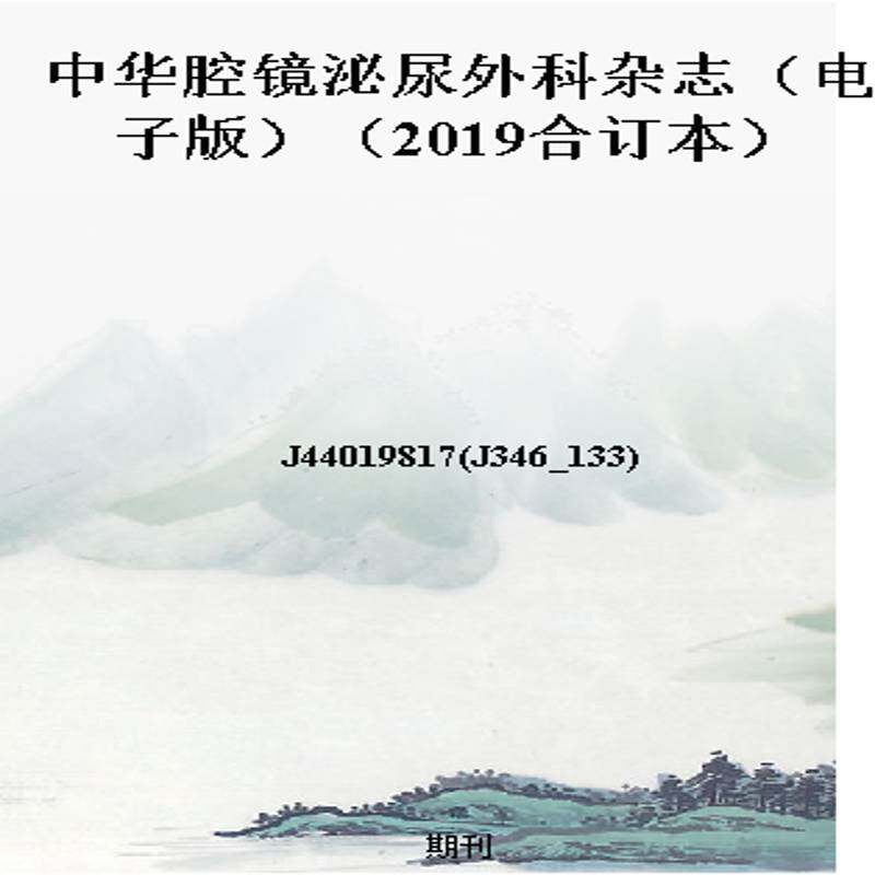 中华腔镜泌尿外科杂志(电子版)(2019合订本)
