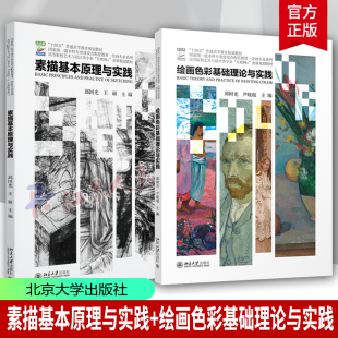 高等院校艺术与设计类专业 2册 邱国光 北京大学出版 高校教材艺术书籍 素描基本原理与实践 社 绘画色彩基础理论与实践