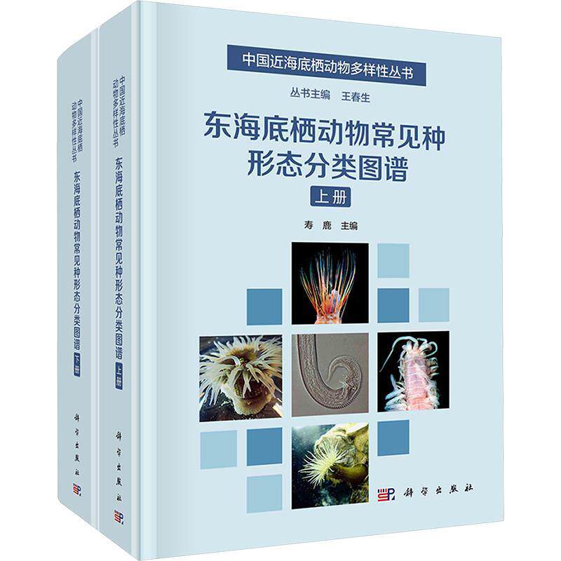 东海底栖动物常见种形态分类图谱（全2册）寿鹿9787030737311 科学出版社 自然科学书籍