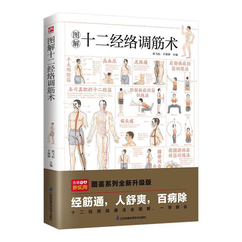 图解十二经络调筋术 轻图鉴系列2 陈飞松 多种疾病对症的筋保健法 中医经络穴位按摩养生 家庭保健实用健康宝典 健康养生书籍