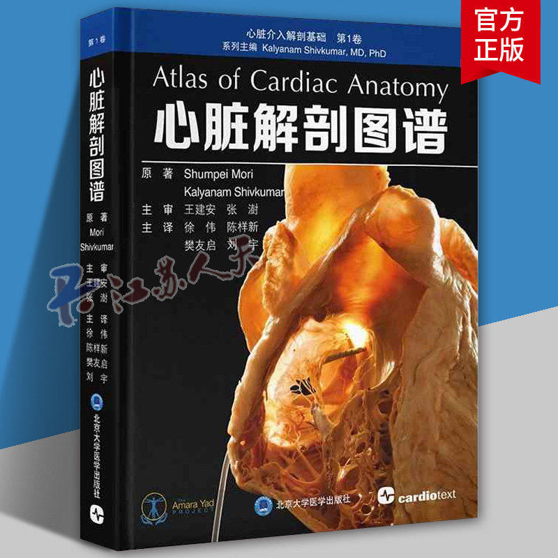 心脏解剖图谱 心脏介入解剖基础第1卷 徐伟 陈样新 樊友启 刘宇 主译 心脏人体解剖学 图谱解剖学9787565934766北京大学医学出版社