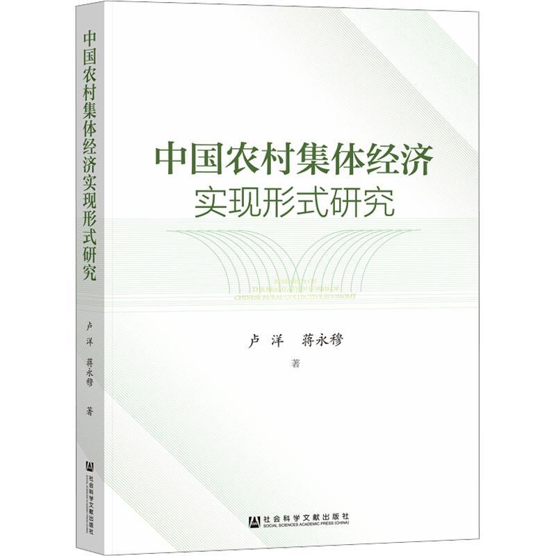 中国农村集体经济实现形式研究卢洋9787522816487 社会科学文献出版社·经济与管理分社 经济书籍