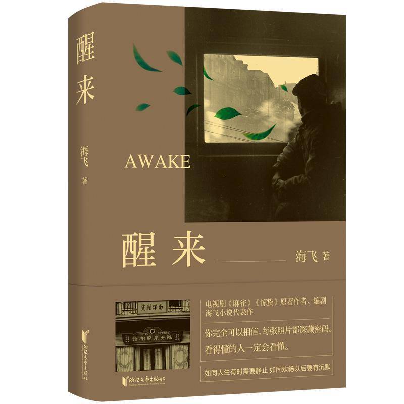 醒来（2025版）海飞9787533977788 浙江文艺出版社 小说书籍