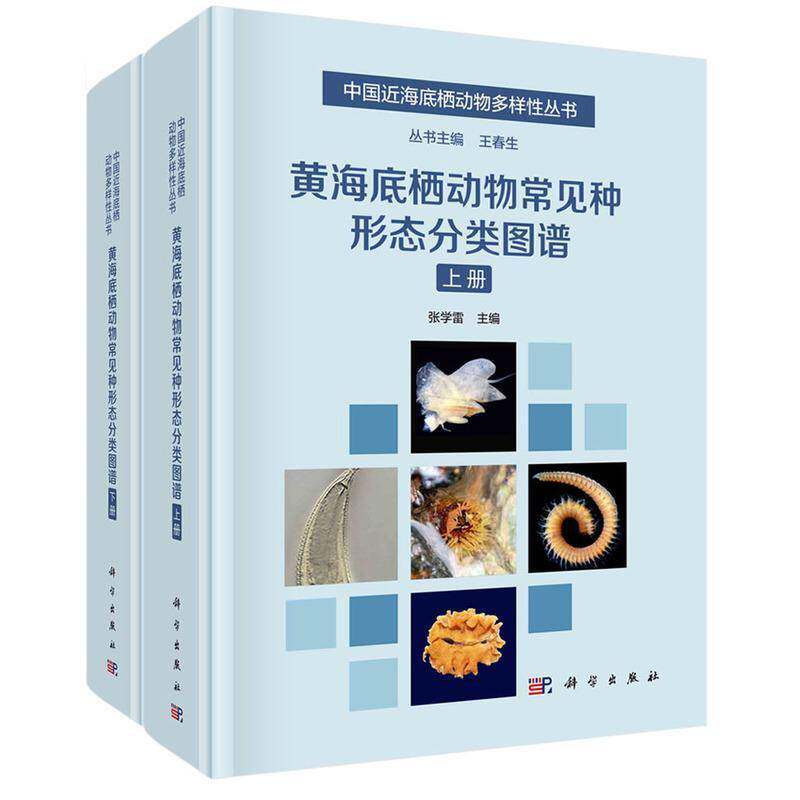 黄海底栖动物常见种形态分类图谱（全2册）张学雷9787030737328 科学出版社 自然科学书籍