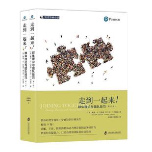 群體理論與團隊技巧戴維·約翰遜普通大眾組織心理學研究管理書籍 走到一起來