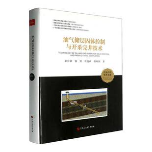 油气储层固与开采完井技术董长银9787563682393 中国石油大学出版社 工业技术书籍