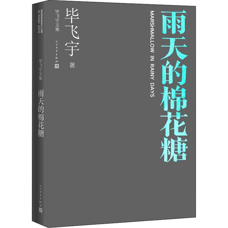 雨天的棉花糖毕飞宇  小说书籍