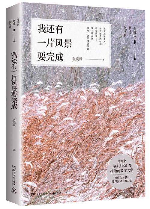 正版包邮 我还有一片风景要完成 张晓风 湖南文艺出版社 日记、书信书籍 江苏畅销书,书籍/杂志/报纸,中国近代随笔,淘宝优惠券,粉丝福利购,淘宝优惠卷
