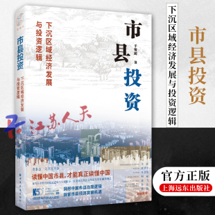 下沉区域经济发展与投资逻辑 上海远东出版 于智超著 探索市县投资新机遇 社 洞悉中国市县治理与投资模式 市县投资