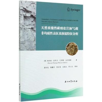 天然裂缝碳酸盐岩油气藏非均质表征及渗流特征分析纳尔逊·恩里克·巴罗斯·加尔维普通大众碳酸盐岩油气藏地质模型工业技术书籍