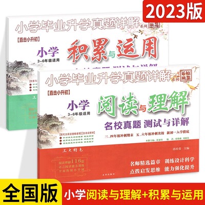 小升初阅读与理解积累与运用